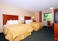 Comfort Inn Vail/Beaver Creek image 2