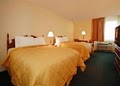 Comfort Inn West image 4
