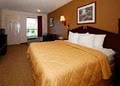 Comfort Inn image 3