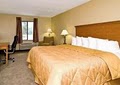 Comfort Inn image 4