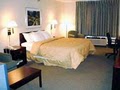Comfort Inn image 5