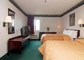 Comfort Inn image 6