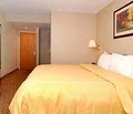 Comfort Inn image 7