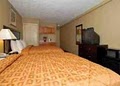 Comfort Inn image 8