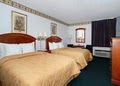 Comfort Inn image 10