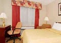 Comfort Inn image 1