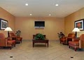Comfort Suites Of Ennis image 5