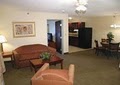 Comfort Suites image 4