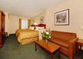 Comfort Suites image 6