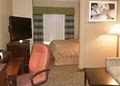 Comfort Suites image 7