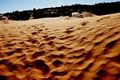 Coral Pink Sand Dunes Park image 2