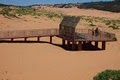 Coral Pink Sand Dunes Park image 4