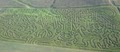 Deere Farms Corn Maze and Pumpkin Patch image 4