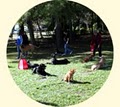 Dog Training In Your Home image 4