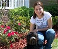 Dog Training In Your Home image 7