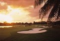 Doral Golf Resort & Spa, A Marriott Resort logo