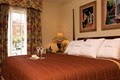 Doubletree Guest Suites Charleston Hotel - Historic District image 7