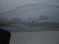 ES - Bay Area Property Mold Testing & Inspection image 6