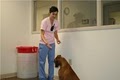 Eastside Animal Hospital - Boarding image 5