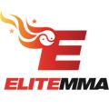 Elite Mixed Martial Arts logo