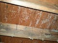 Emergency Cleaning Service, Fire Damage Restoration, Flood Damage Cleanup image 3