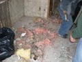 Emergency Cleaning Service, Fire Damage Restoration, Flood Damage Cleanup image 10