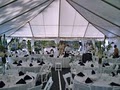 EventMasters Party Rentals image 2