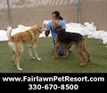 Fairlawn Pet Resort & Spa image 4