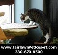 Fairlawn Pet Resort & Spa image 5