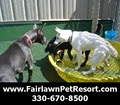 Fairlawn Pet Resort & Spa image 6