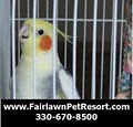 Fairlawn Pet Resort & Spa image 9
