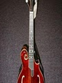 Fifth String Music Store image 5