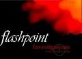Flashpoint Investigations, Inc. / Process Server image 5
