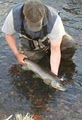 Fly Fishing Evolution Guide Service image 1