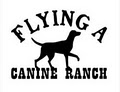 Flying A Canine Ranch logo