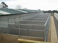 Four Seasons Pet Resort Winterville image 3