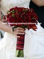 Fresno Wedding Planning Guide image 2