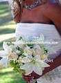 Fresno Wedding Planning Guide image 1