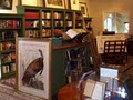 Grey Parrot Books image 4
