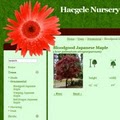 Haegele Nursery and Garden Center image 2