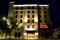 Hampton Inn & Suites Gainesville Hotel Downtown logo