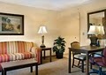 Hampton Inn Tampa/wesley Chapel, Fl image 9