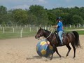 Harmony Horsemanship image 3