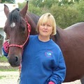 Harmony Horsemanship logo