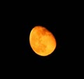 Harvest Moon image 1