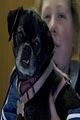 Hattie Larlham Doggie Day Care & Boarding image 3
