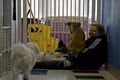 Hattie Larlham Doggie Day Care & Boarding image 8