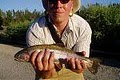 Headwaters Fly Fishing Guides image 4