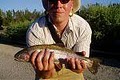 Headwaters Fly Fishing Guides image 4