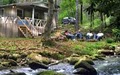Hidden Creek Cabins image 3